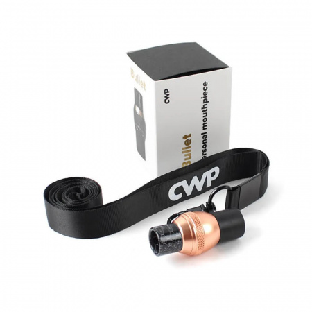 Персональный мундштук CWP Bullet (Gold-Black)